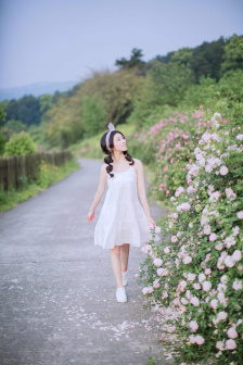 哥斯拉怪兽之王